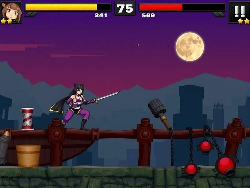 Anise Assassin Ace Game Screenshot